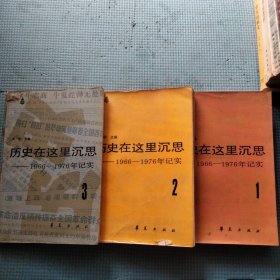 历史在这里沉思-1966-1976年记实（1.2.3）3本合售