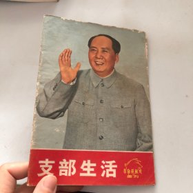 支部生活革命样板戏画刊