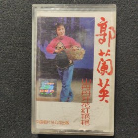 老磁带:郭兰英 山丹丹开花红艳艳(无歌词)