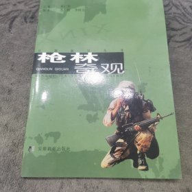 兵器新星丛书 枪林奇观