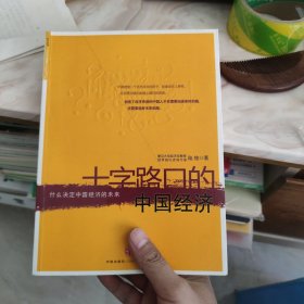 十字路口的中国经济