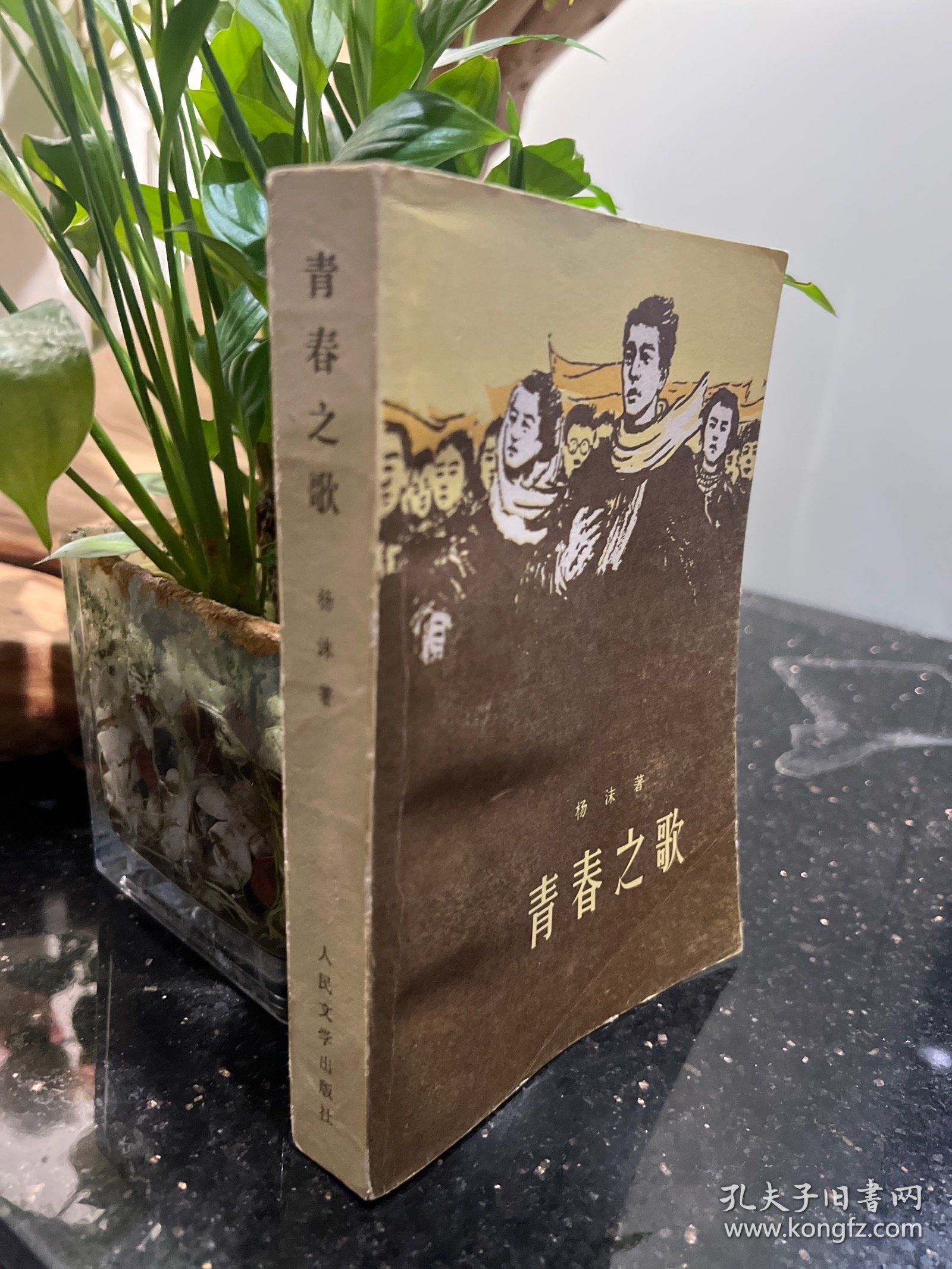 青春之歌 1961年版四川第一次印刷