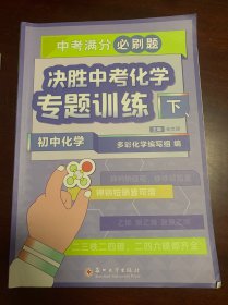 中考满分必刷题·决胜中考化学专题训练(下）