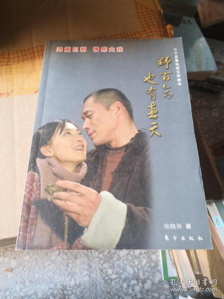 野百合也有春天（25集电视文学剧本）