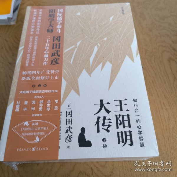 王阳明大传：知行合一的心学智慧（全新修订版）