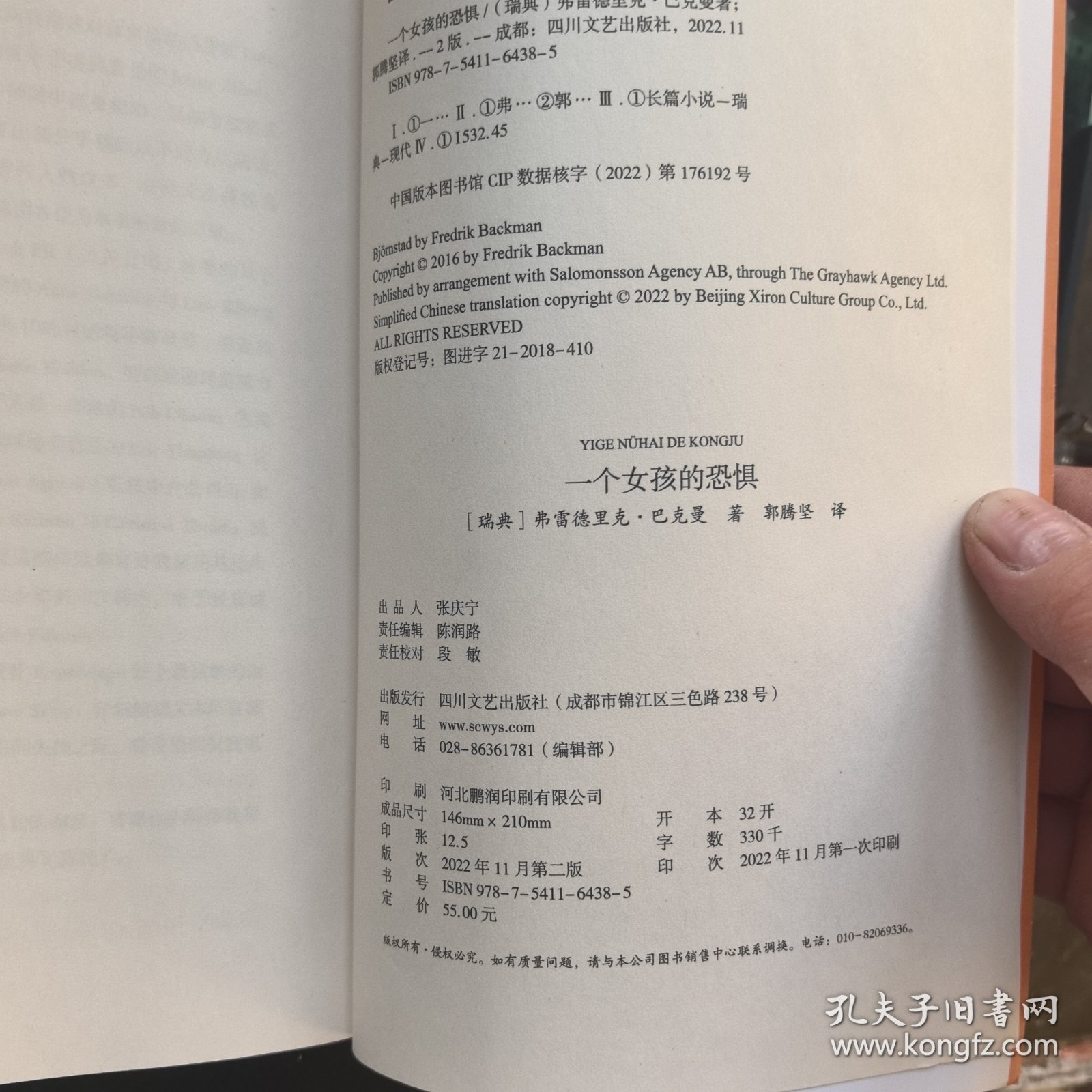 一个女孩的恐惧