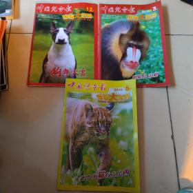 中国儿童报 动物大世界 2018 三本合售