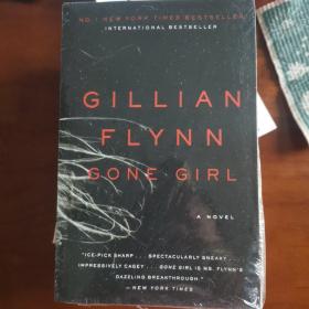 Gone Girl: A Novel消失的爱人 英文原版