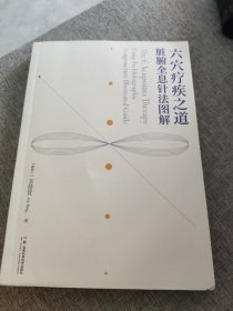 六穴疗疾之道——脏腑全息针法图解