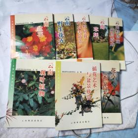 云南花卉丛书(1-8册)