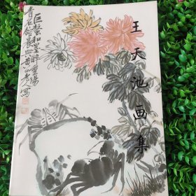王天池画集