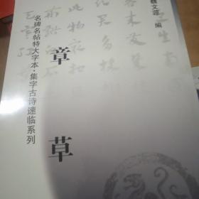 名碑名帖特大字本 集字古诗速临系列章草