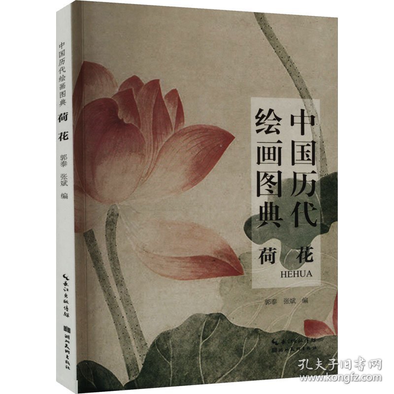 中国历代绘画图典 荷花 9787571219482