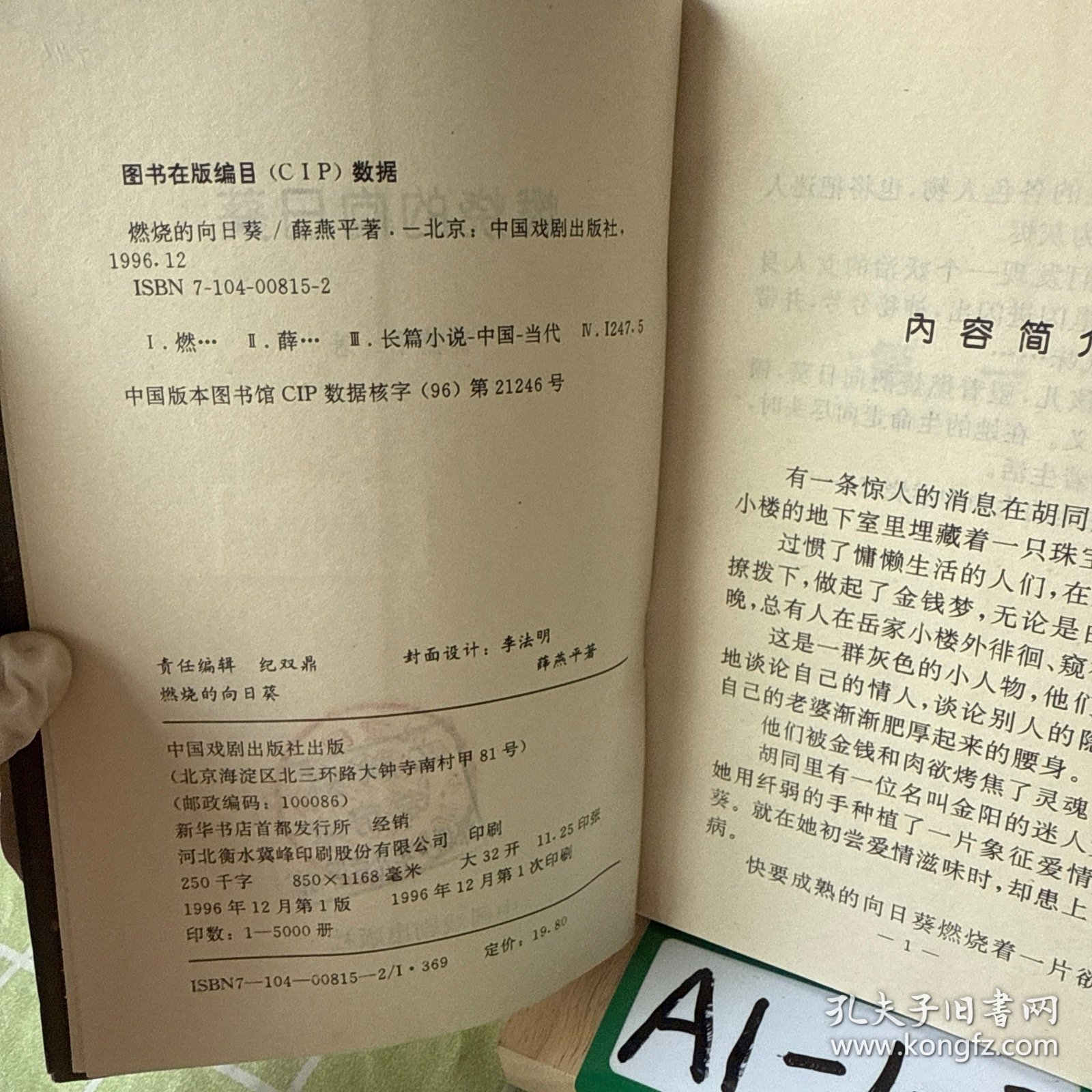 燃烧的向日葵