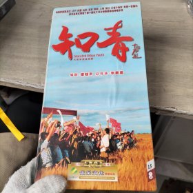 大型电视连续剧 知青（DVD15碟装）