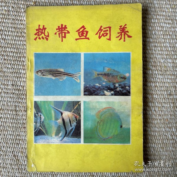热带鱼饲养