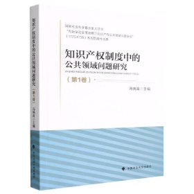 知识产权制度中的公共领域问题研究（第1卷）