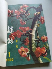 植物杂志1980年1-4期合订本/