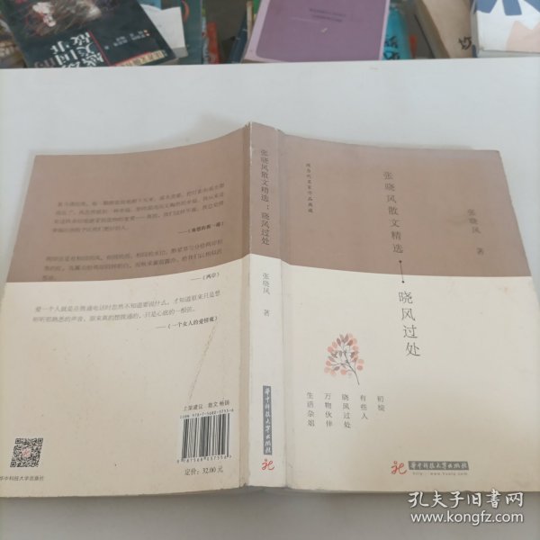 张晓风散文精选：晓风过处