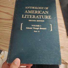 AMERICAN LITERATURE,原版英文书