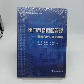 电力市场风险管理：建模分析与预防策略