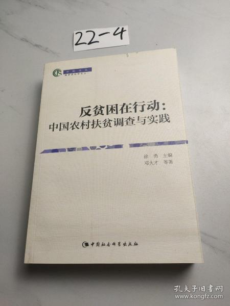 反贫困在行动：中国农村扶贫调查与实践（智库书系）