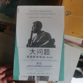 大问题：简明哲学导论