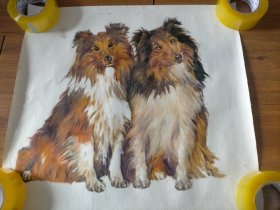两只狗油画，绘画逼真功力深厚