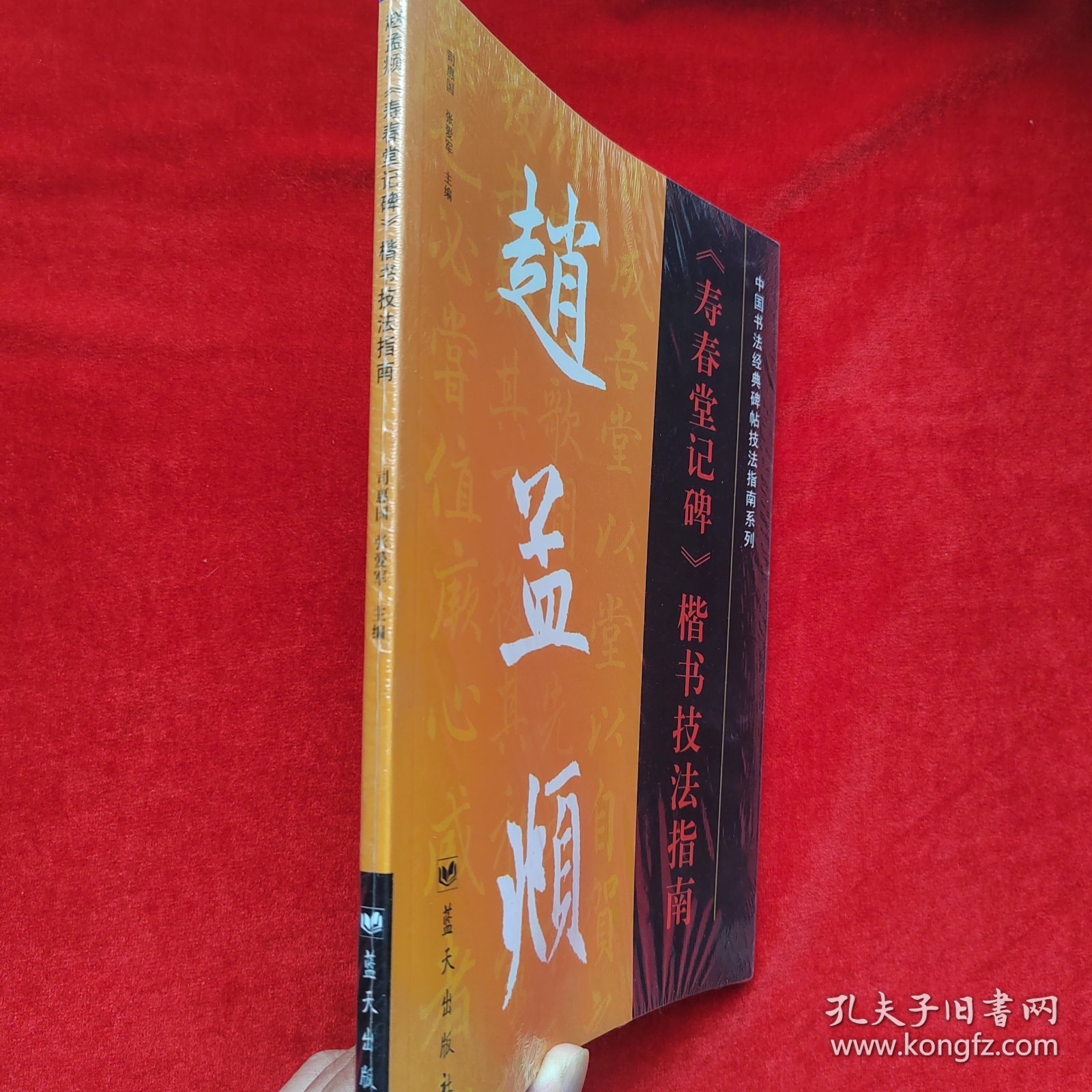 中国书法经典碑帖技法指南系列：赵孟頫《寿春堂记碑》楷书技法指南【正版 未拆封】