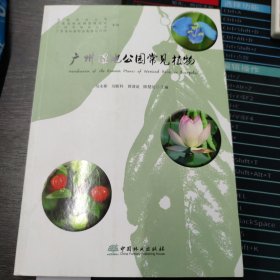 广州湿地公园常见植物