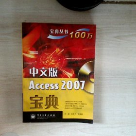 宝典丛书：中文版Access2007宝典