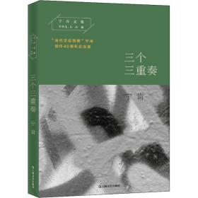 三个三重奏 "当代文坛刺客"宁肯创作40周年纪念版 中国现当代文学 宁肯 新华正版