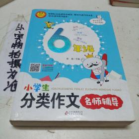 小学生分类作文名师辅导（6年级）