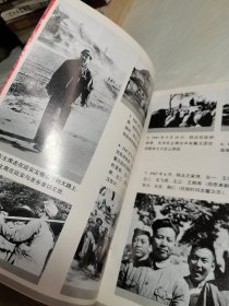 汪东兴日记