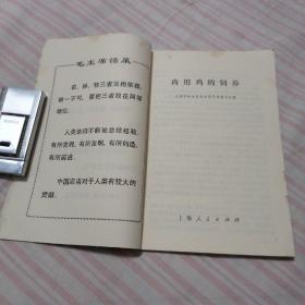 肉用鸡的饲养，**时期有毛主席语录