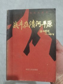战斗在清河平原