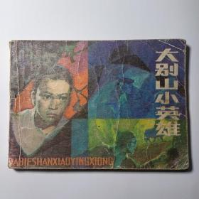 连环画:大别山小英雄