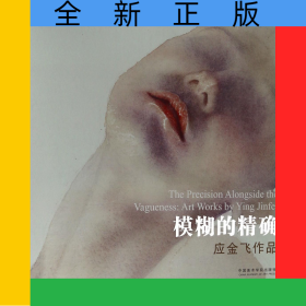 模糊的精确(应金飞作品)
