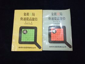 【象棋快速提高捷径丛书】《象棋中局快速提高捷径》《象棋残局快速提高捷径》两本合售【库存未使用。象棋高手黄少龙著。】