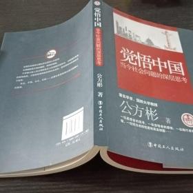 觉悟中国：当今社会问题的深层思考