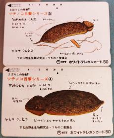 日本电话卡～动物专题~日本未确认动物（过期废卡，收藏用）
