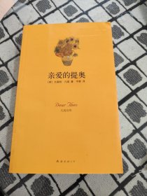 亲爱的提奥：凡高自传