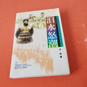 汨水怒潮:平江暴动纪实 (中国革命暴动纪实丛书)