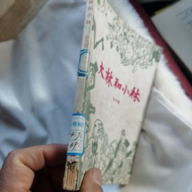 大林和小林