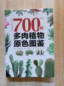 700种多肉植物原色图鉴