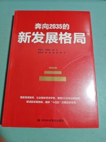 奔向2035的新发展格局