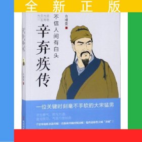 不信人间有白头：辛弃疾传