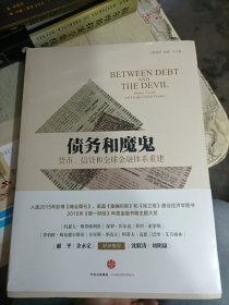 债务和魔鬼：货币、信贷和全球金融体系重建（全新未拆封）