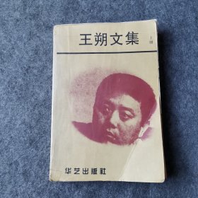 王朔文集 上册 （脱页）