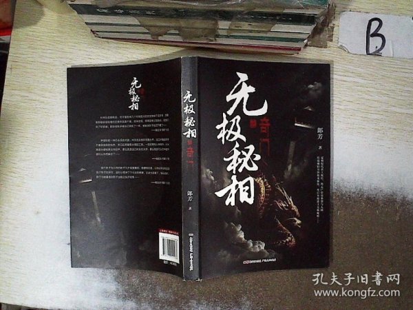 无极秘相之奇门：郎芳著 悬疑推理惊悚盗墓小说